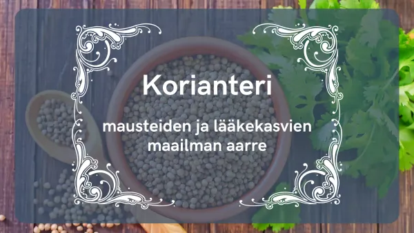 Korianteri - mausteiden ja lääkekasvien maailman aarre