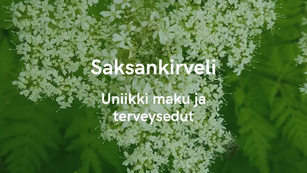 Saksankirveli - Uniikki maku ja terveysedut