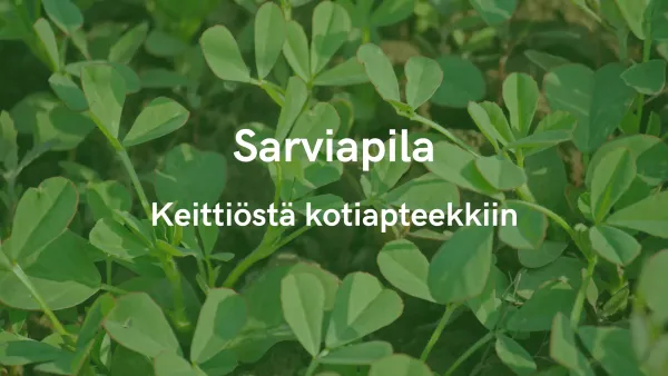 Sarviapila - Keittiöstä kotiapteekkiin
